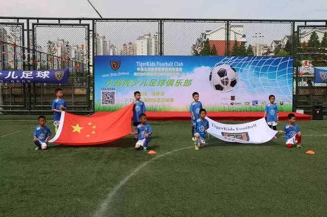 的案例并不 的案例并不